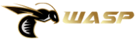  waspspin เว็บพนันแท้ แหล่งรวมเกมเดิมพันครบวงจรที่สุด